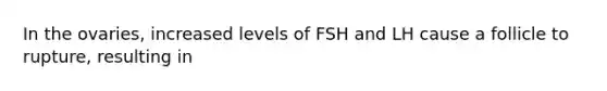 In the ovaries, increased levels of FSH and LH cause a follicle to rupture, resulting in