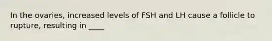 In the ovaries, increased levels of FSH and LH cause a follicle to rupture, resulting in ____