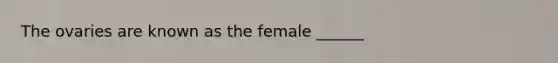 The ovaries are known as the female ______