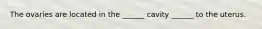 The ovaries are located in the ______ cavity ______ to the uterus.