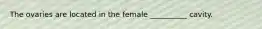 The ovaries are located in the female __________ cavity.