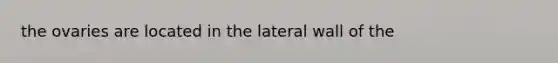 the ovaries are located in the lateral wall of the