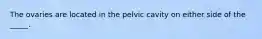 The ovaries are located in the pelvic cavity on either side of the _____.