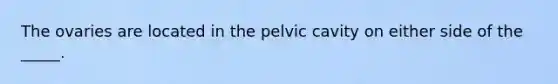 The ovaries are located in the pelvic cavity on either side of the _____.