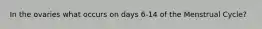 In the ovaries what occurs on days 6-14 of the Menstrual Cycle?