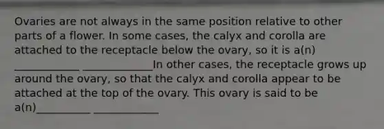 Ovaries are not always in the same position relative to other parts of a flower. In some cases, the calyx and corolla are attached to the receptacle below the ovary, so it is a(n) ____________ _____________In other cases, the receptacle grows up around the ovary, so that the calyx and corolla appear to be attached at the top of the ovary. This ovary is said to be a(n)__________ ____________