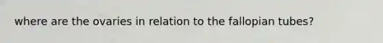 where are the ovaries in relation to the fallopian tubes?