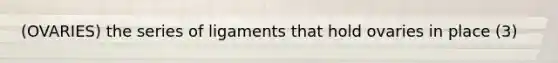 (OVARIES) the series of ligaments that hold ovaries in place (3)