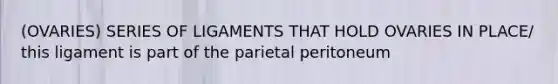 (OVARIES) SERIES OF LIGAMENTS THAT HOLD OVARIES IN PLACE/ this ligament is part of the parietal peritoneum