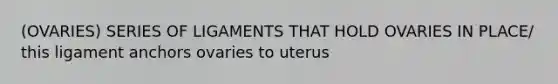 (OVARIES) SERIES OF LIGAMENTS THAT HOLD OVARIES IN PLACE/ this ligament anchors ovaries to uterus