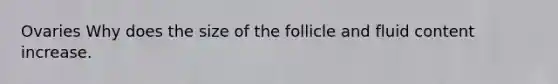 Ovaries Why does the size of the follicle and fluid content increase.
