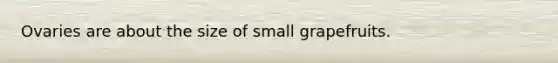 Ovaries are about the size of small grapefruits.