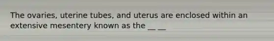 The ovaries, uterine tubes, and uterus are enclosed within an extensive mesentery known as the __ __