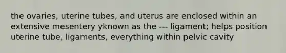 the ovaries, uterine tubes, and uterus are enclosed within an extensive mesentery yknown as the --- ligament; helps position uterine tube, ligaments, everything within pelvic cavity