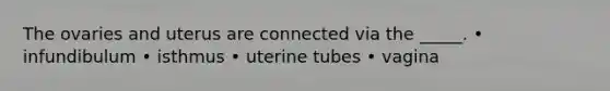 The ovaries and uterus are connected via the _____. • infundibulum • isthmus • uterine tubes • vagina