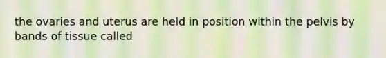 the ovaries and uterus are held in position within the pelvis by bands of tissue called