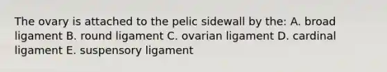 The ovary is attached to the pelic sidewall by the: A. broad ligament B. round ligament C. ovarian ligament D. cardinal ligament E. suspensory ligament