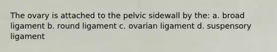 The ovary is attached to the pelvic sidewall by the: a. broad ligament b. round ligament c. ovarian ligament d. suspensory ligament