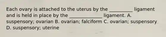 Each ovary is attached to the uterus by the __________ ligament and is held in place by the ______________ ligament. A. suspensory; ovarian B. ovarian; falciform C. ovarian; suspensory D. suspensory; uterine