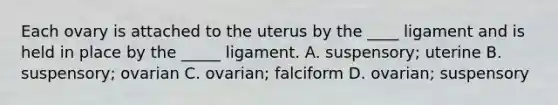 Each ovary is attached to the uterus by the ____ ligament and is held in place by the _____ ligament. A. suspensory; uterine B. suspensory; ovarian C. ovarian; falciform D. ovarian; suspensory