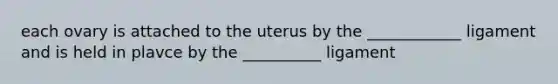 each ovary is attached to the uterus by the ____________ ligament and is held in plavce by the __________ ligament