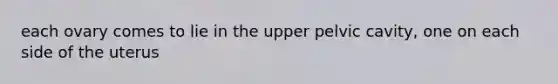 each ovary comes to lie in the upper pelvic cavity, one on each side of the uterus