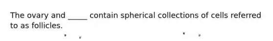 The ovary and _____ contain spherical collections of cells referred to as follicles.