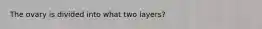 The ovary is divided into what two layers?