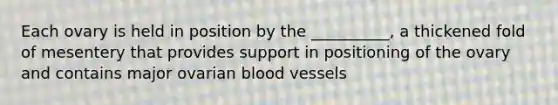 Each ovary is held in position by the __________, a thickened fold of mesentery that provides support in positioning of the ovary and contains major ovarian <a href='https://www.questionai.com/knowledge/kZJ3mNKN7P-blood-vessels' class='anchor-knowledge'>blood vessels</a>