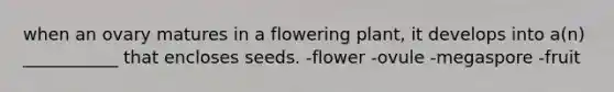 when an ovary matures in a flowering plant, it develops into a(n) ___________ that encloses seeds. -flower -ovule -megaspore -fruit