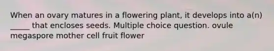 When an ovary matures in a flowering plant, it develops into a(n) _____ that encloses seeds. Multiple choice question. ovule megaspore mother cell fruit flower