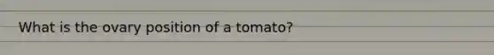 What is the ovary position of a tomato?