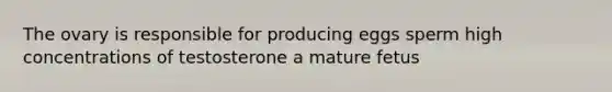 The ovary is responsible for producing eggs sperm high concentrations of testosterone a mature fetus