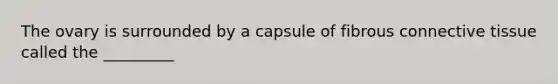 The ovary is surrounded by a capsule of fibrous connective tissue called the _________