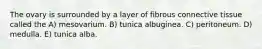 The ovary is surrounded by a layer of fibrous connective tissue called the A) mesovarium. B) tunica albuginea. C) peritoneum. D) medulla. E) tunica alba.