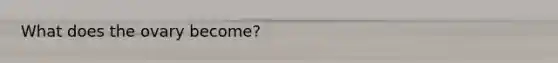 What does the ovary become?