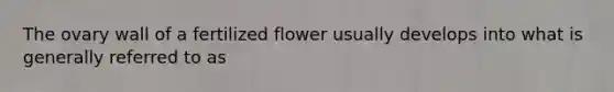 The ovary wall of a fertilized flower usually develops into what is generally referred to as