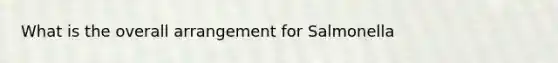 What is the overall arrangement for Salmonella