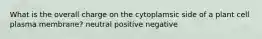 What is the overall charge on the cytoplamsic side of a plant cell plasma membrane? neutral positive negative