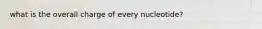what is the overall charge of every nucleotide?
