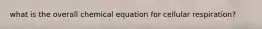 what is the overall chemical equation for cellular respiration?