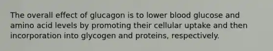 The overall effect of glucagon is to lower blood glucose and amino acid levels by promoting their cellular uptake and then incorporation into glycogen and proteins, respectively.