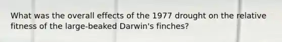 What was the overall effects of the 1977 drought on the relative fitness of the large-beaked Darwin's finches?