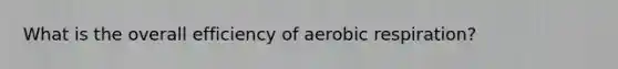 What is the overall efficiency of aerobic respiration?