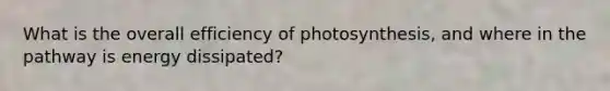 What is the overall efficiency of photosynthesis, and where in the pathway is energy dissipated?