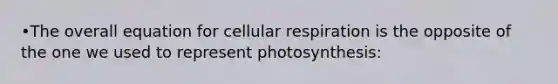 •The overall equation for cellular respiration is the opposite of the one we used to represent photosynthesis: