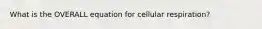What is the OVERALL equation for cellular respiration?