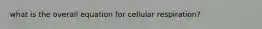 what is the overall equation for cellular respiration?