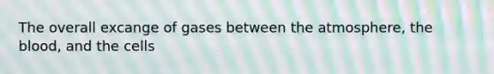 The overall excange of gases between the atmosphere, the blood, and the cells