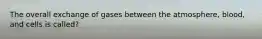 The overall exchange of gases between the atmosphere, blood, and cells is called?